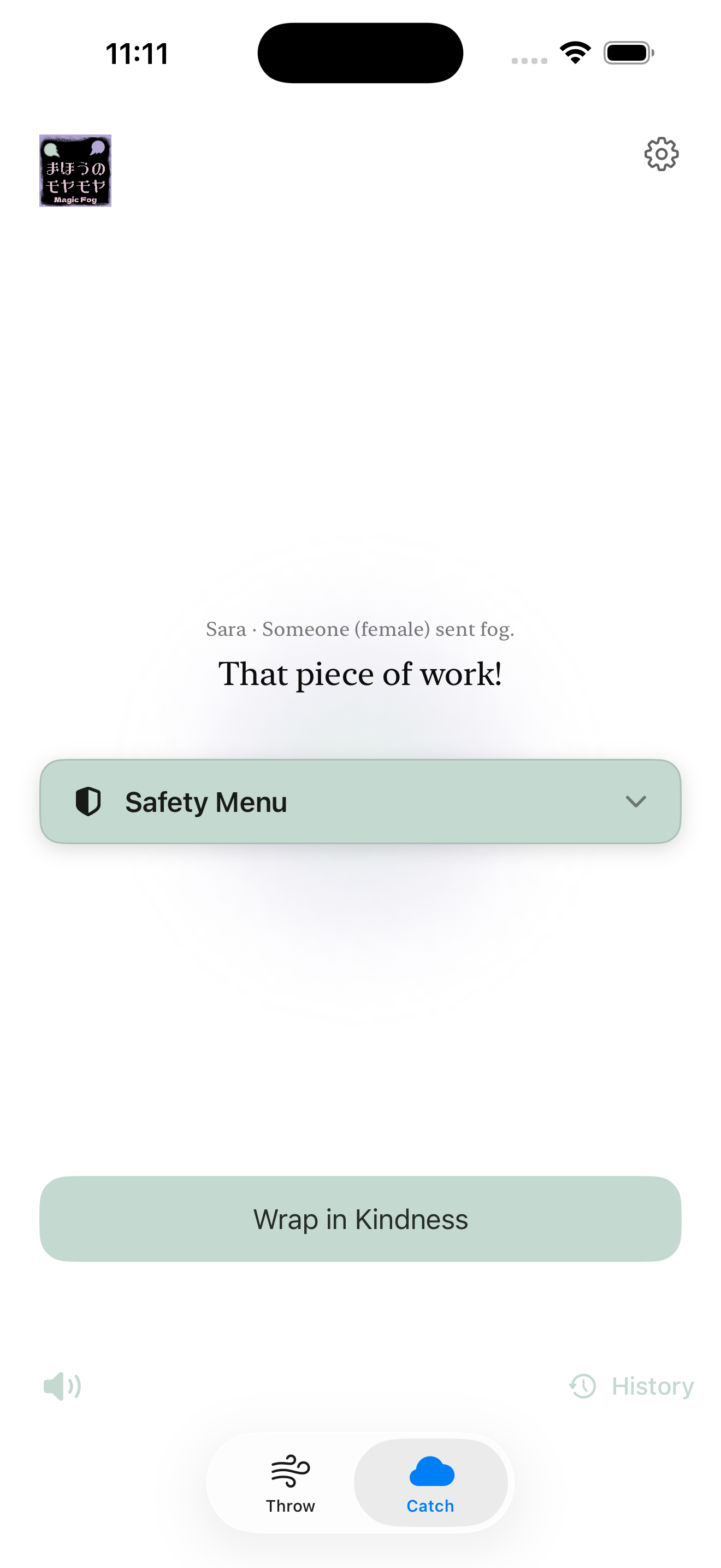 Catch a Fog screen
